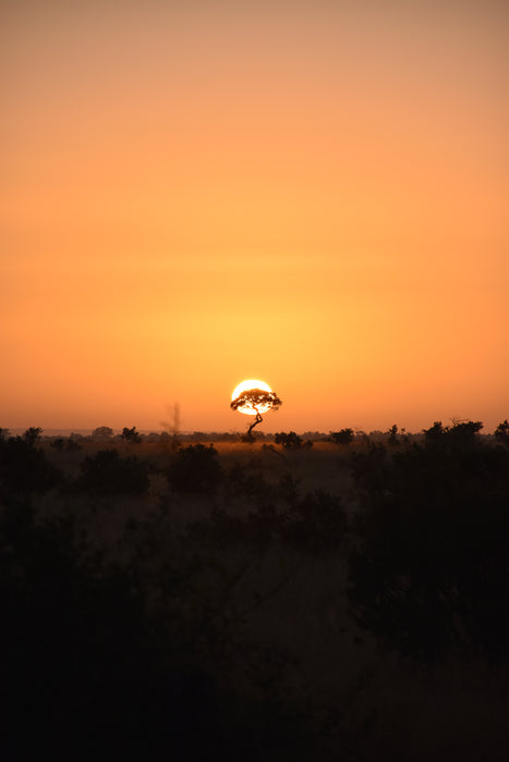 First Light