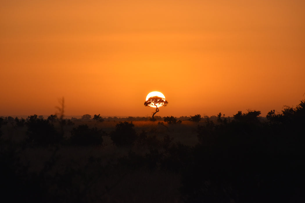 Dawn’s First Breath