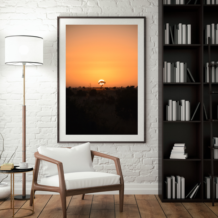 First Light